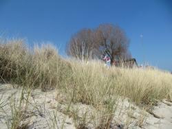 ostseeurlaub066
